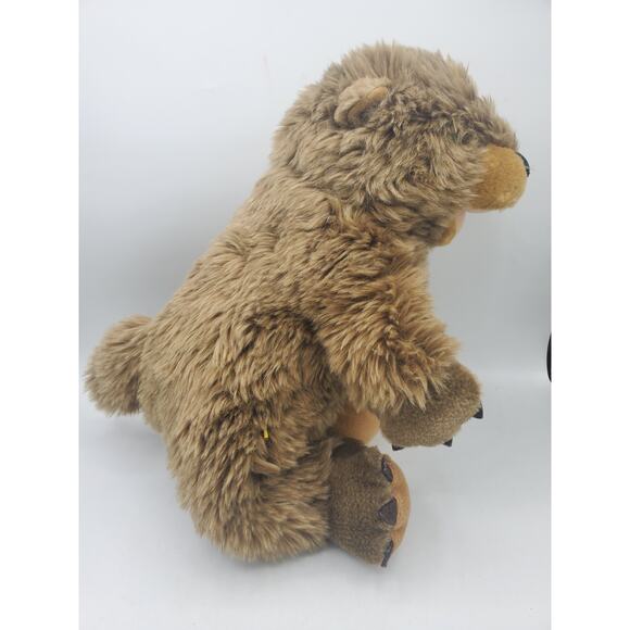 Build a Bear Workshop Groundhog Stuffed Animal Plush Toy Doll "Spring is Near" - Picture 3 of 8